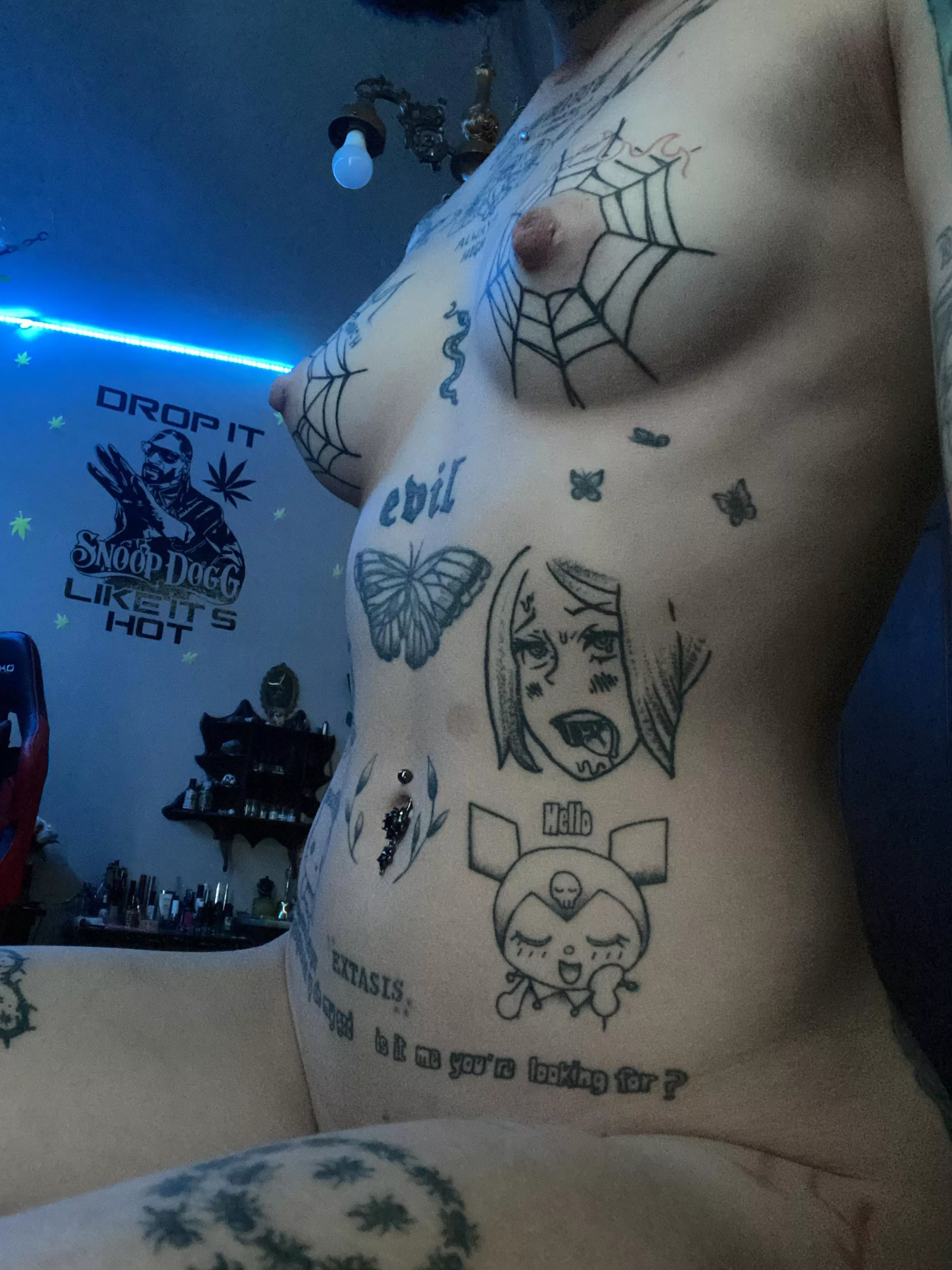 got u on my spiderweb posted by VennusSativa