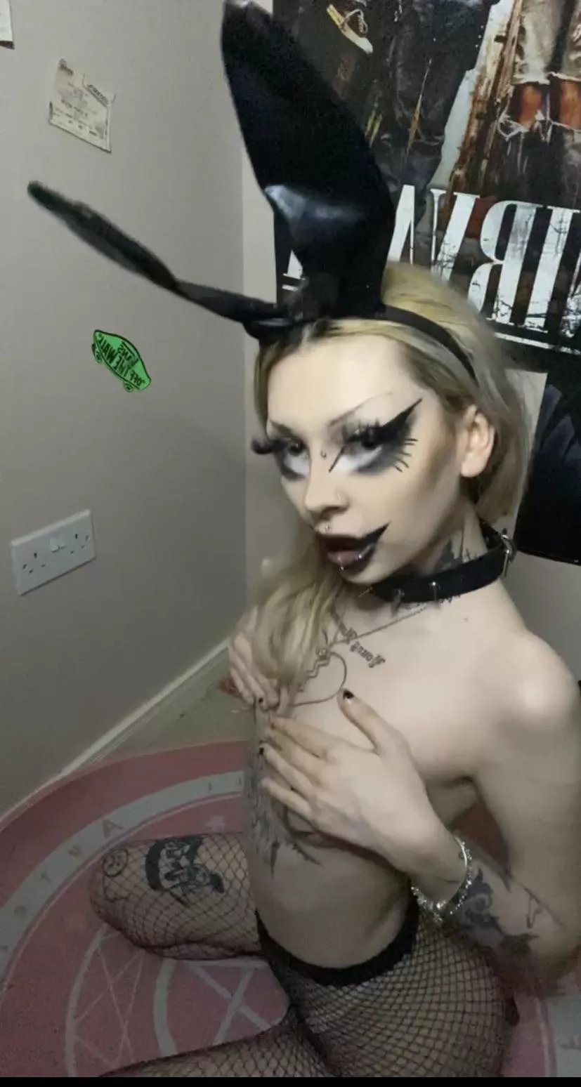 goth bunny ✨🐰 posted by freakonaleash47