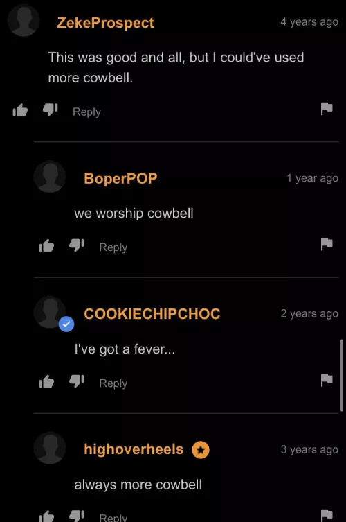 Gotta have more cowbell, baby by Important_Recording6