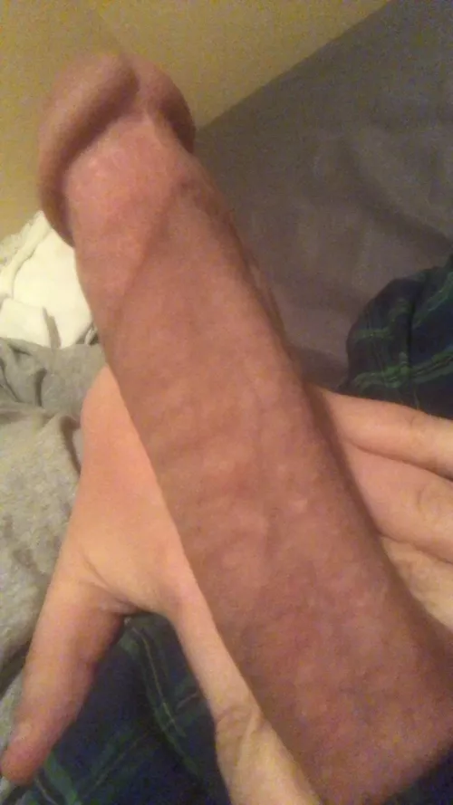 Gotta love this angle [oc] by Few_Yoghurt_7824