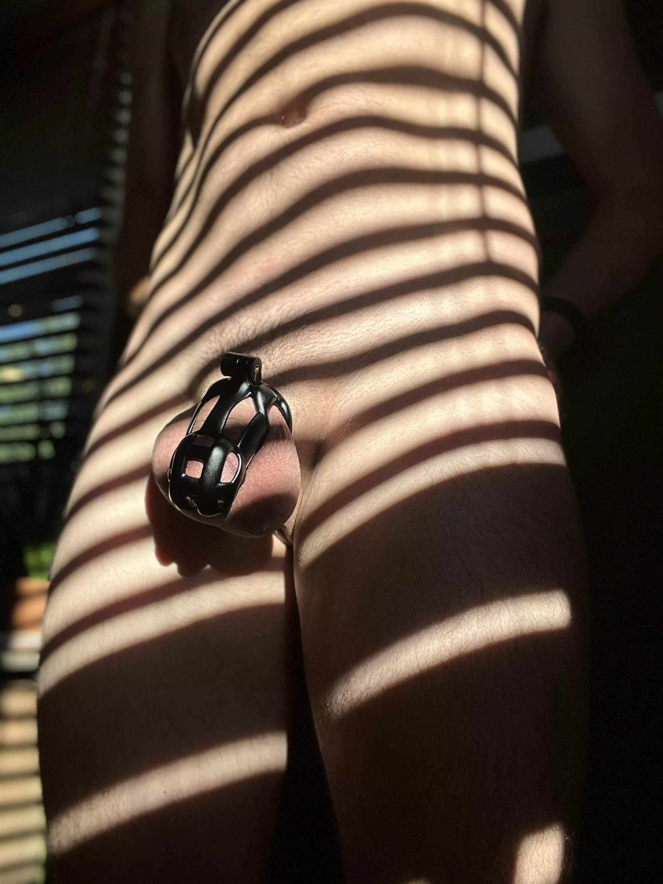 Gotta love when that morning light hits it. posted by ElectricXCircus