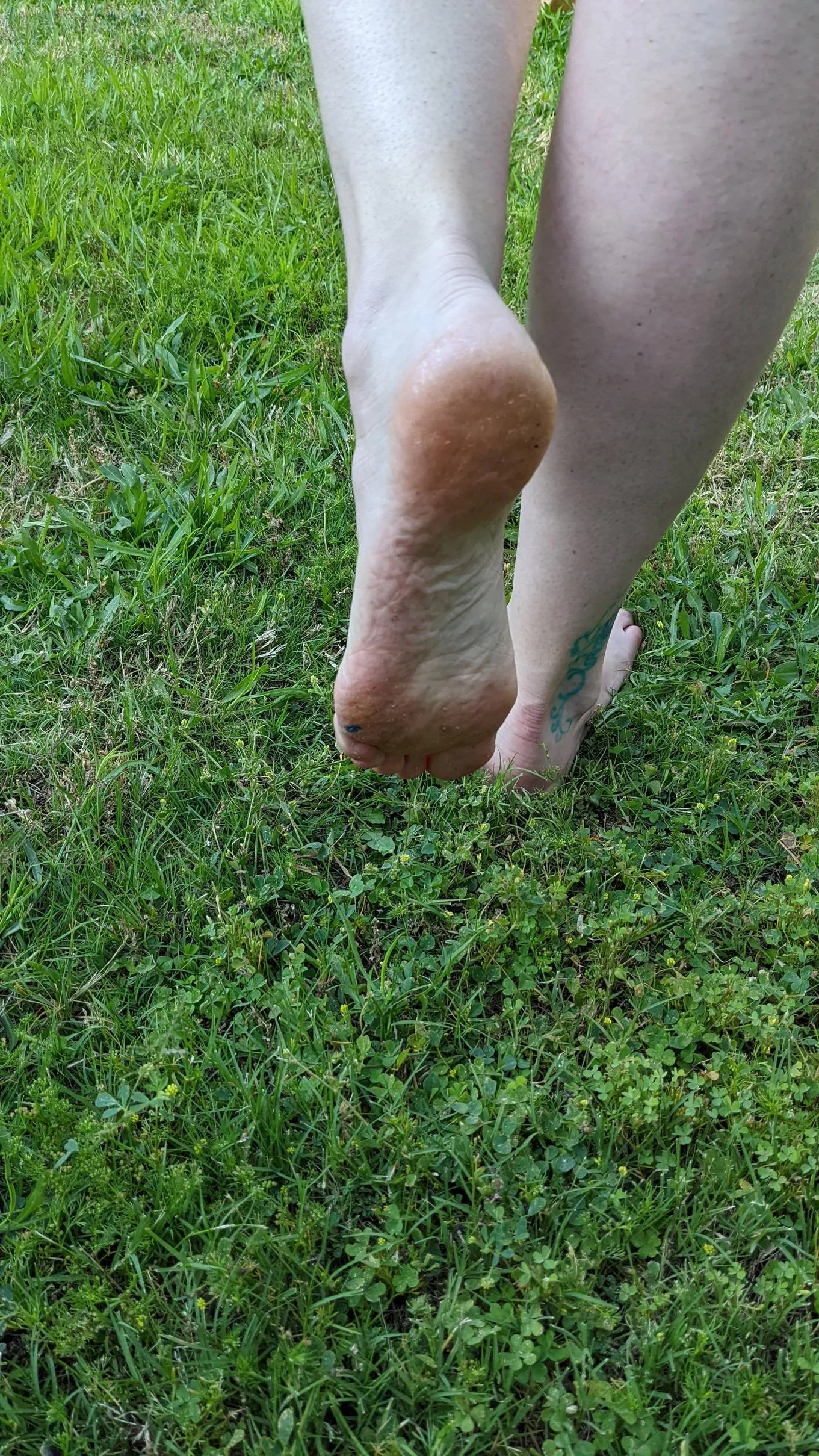 Grassy feet posted by StinkyToesNFeet