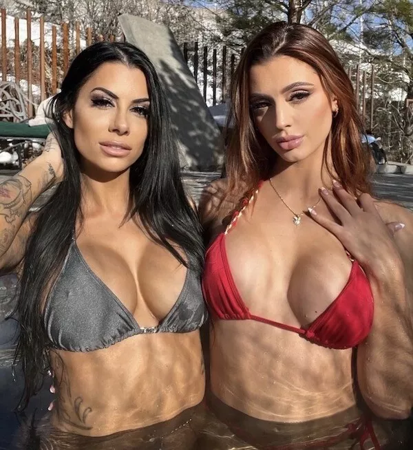 Gray or Red posted by lgpolarbear