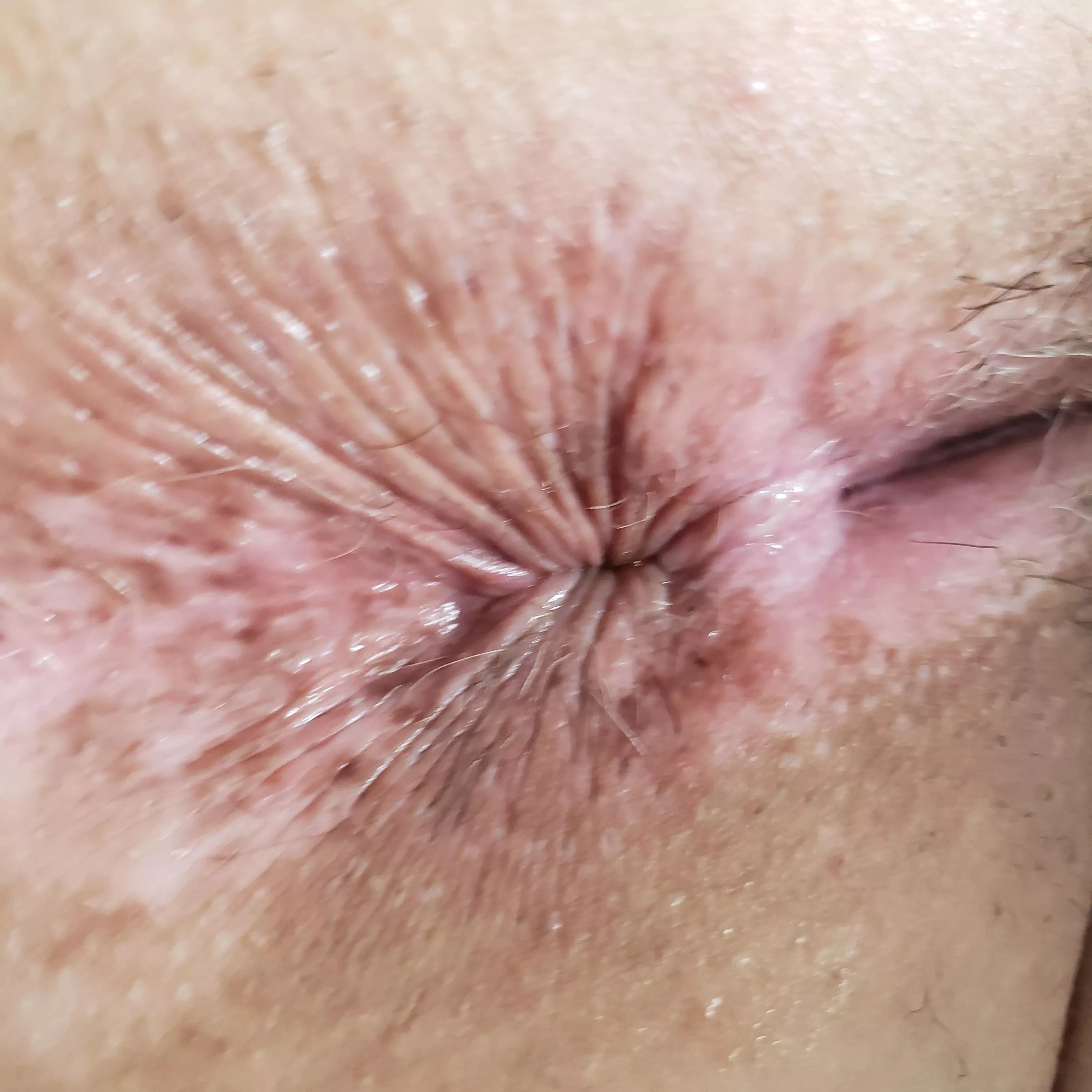 greased up and ready to play! posted by silverblood69