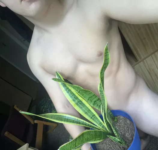 Great day to water the plants ;) by j_matty