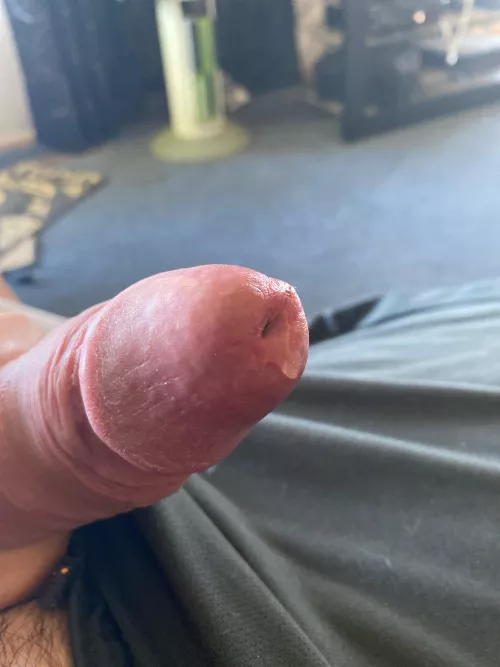 Great morning for the pre drip by Notallhere77