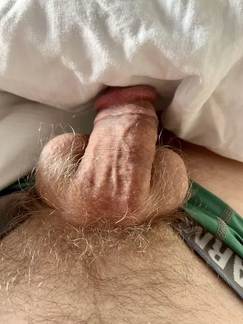 Great morning sun on my nest by heretobeseen0410