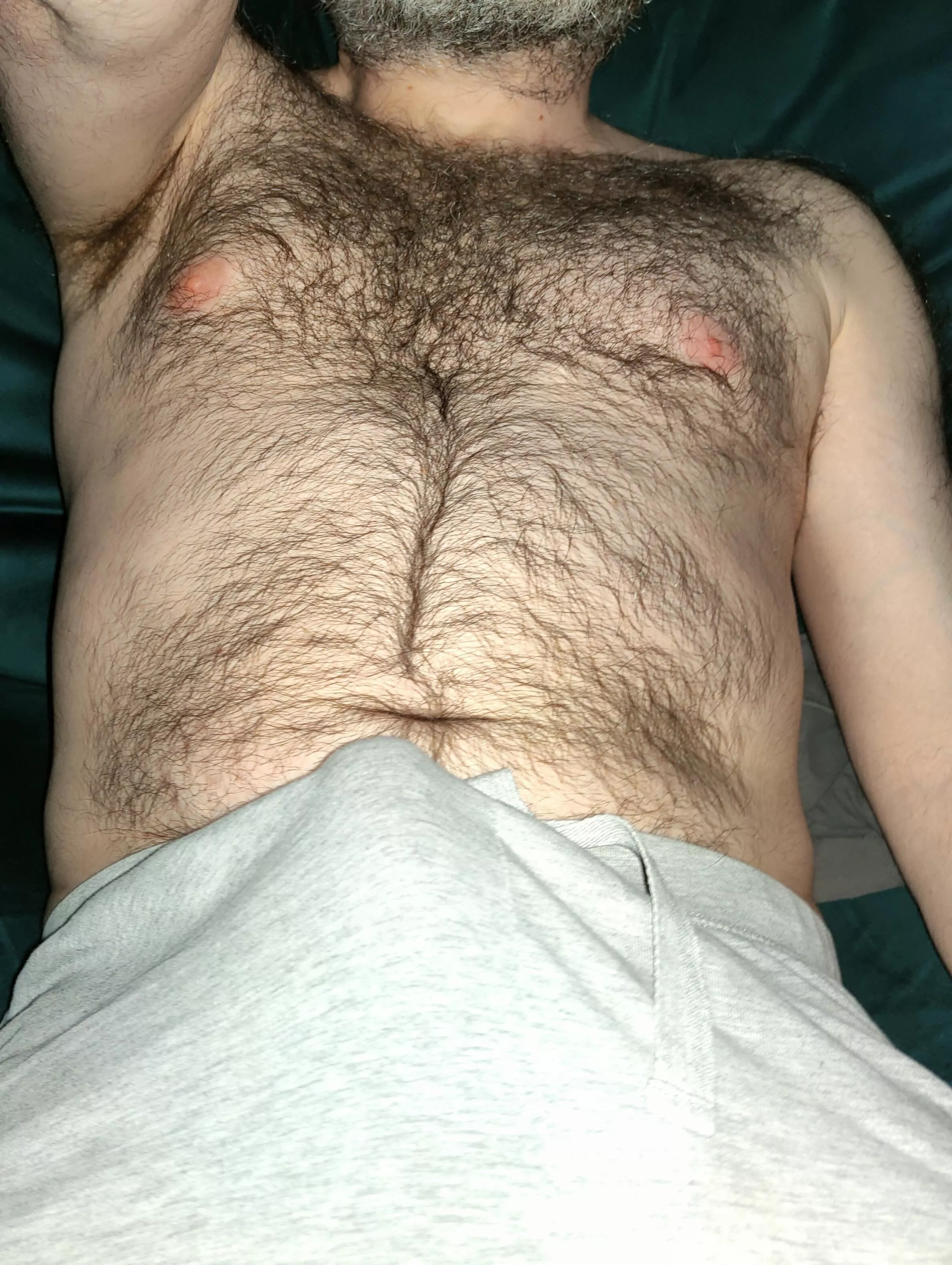 Greysweatpants on and getting comfortable posted by lonelythrownaway13