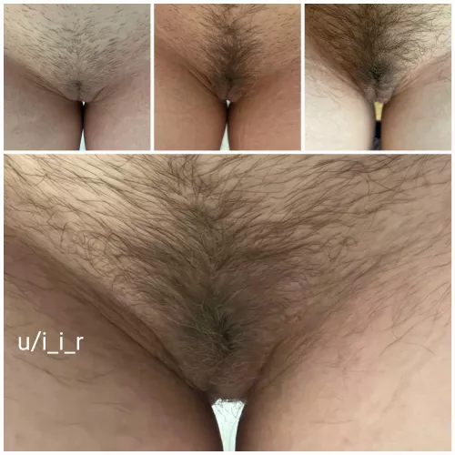 Growing her bush by i_i_r