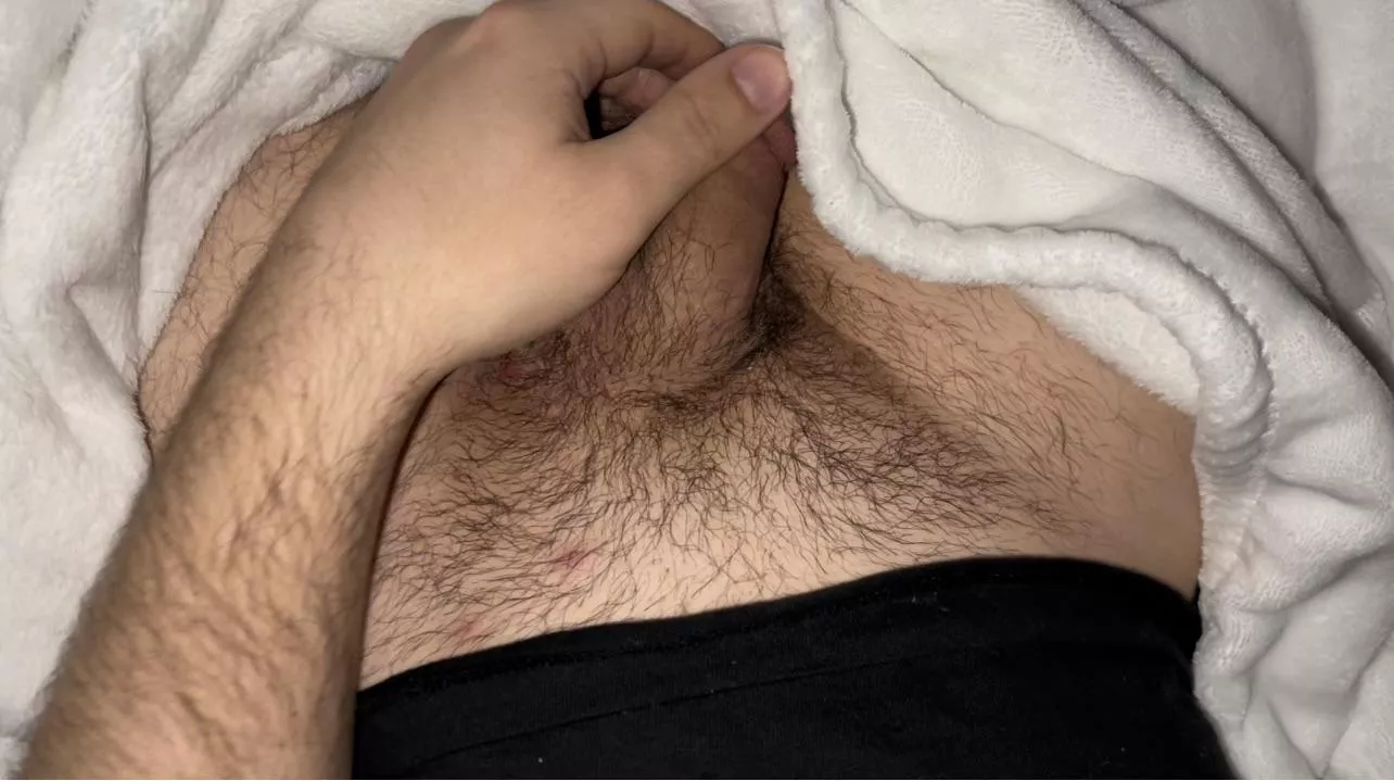 Growing it out posted by Critical_Penalty308