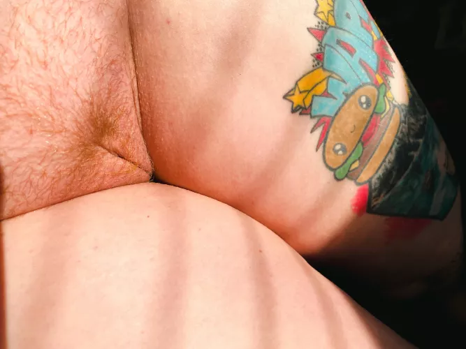 Growing the pretty red bush back out by Suspicious-Bed6516