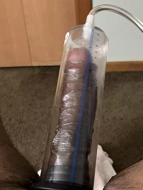 Growing…8inchs length need more girth by Forsaken_Newspaper_5