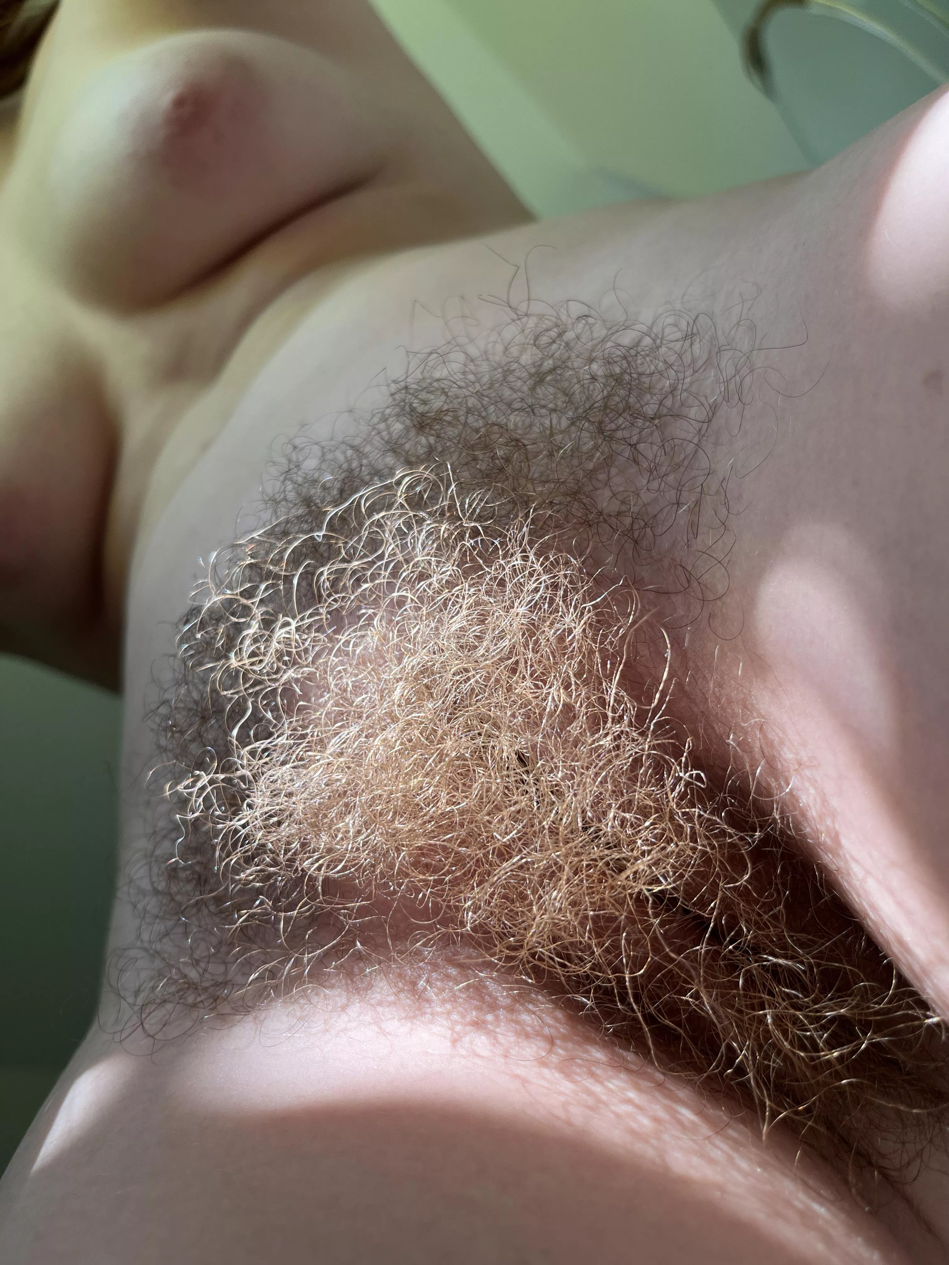 Guess how long I grow my bush? posted by abbysunny