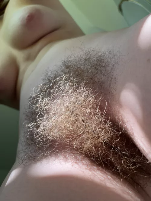 Guess how long I grow my bush? by abbysunny