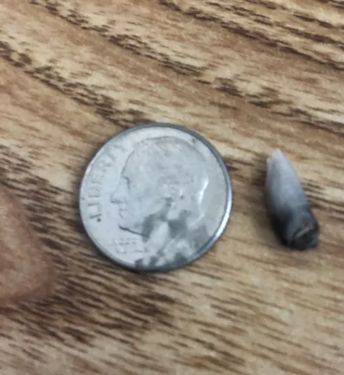 Guess what I managed to get out of my belly button after 5 years by Forever_GM1