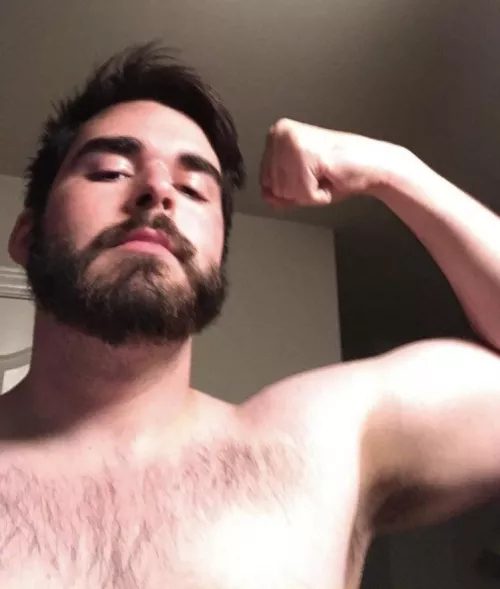 gun show’s in town by zeuxxxx