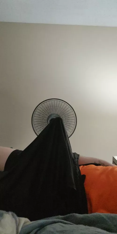 Gym shorts sure can stretch by ExistingParamedic5