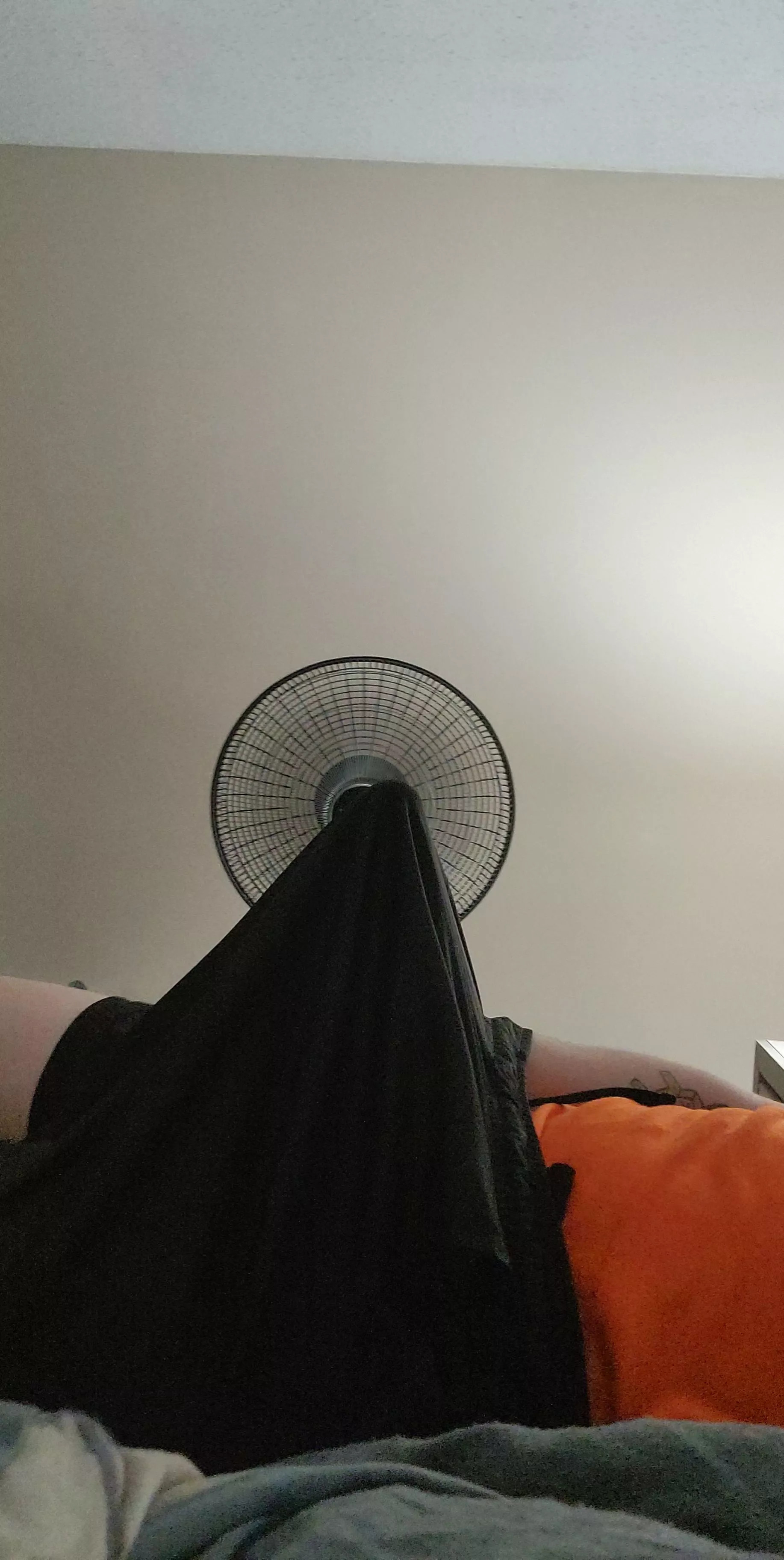 Gym shorts sure can stretch posted by ExistingParamedic5