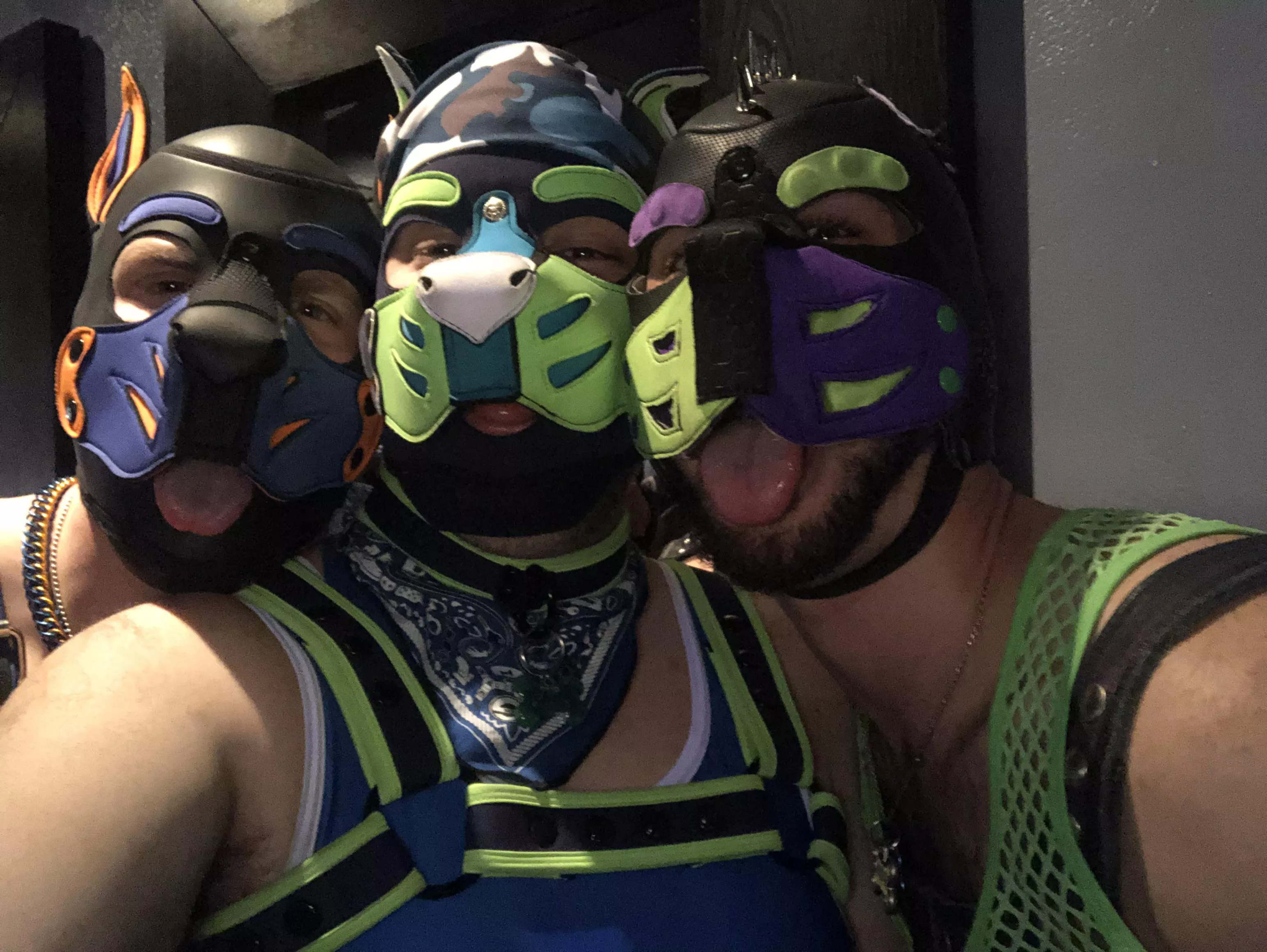 Had a pawesome time at vice versa’s fetish night in Morgantown! posted by Pup-Starry