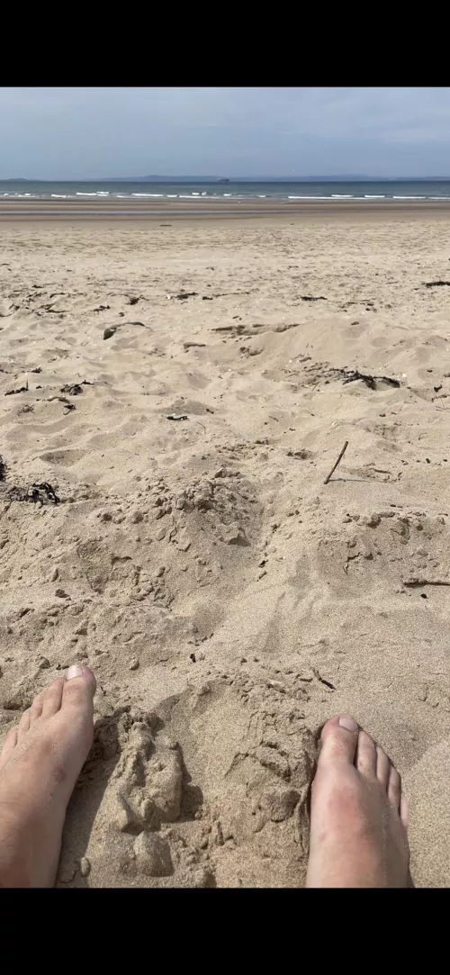 Had about 2 miles of beach entirely to myself today, Aberlady Bay in Scotland if anyone is wondering by scottishdarter