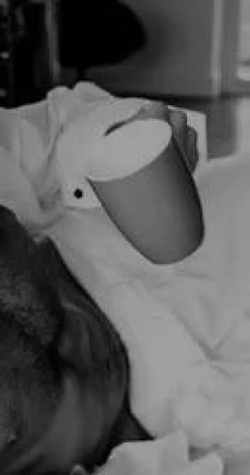 Had an early Zoom session. Crawled back in bed, dress shirt and coffee… out of focus on several levels this morning. Willing the optimism… leaning hard by GKSavile