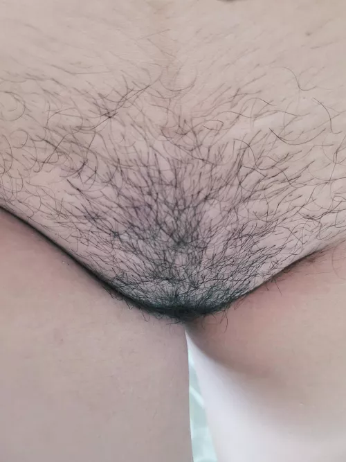 Had my pussy waxed now I'm growing it out by Interesting_Heron631