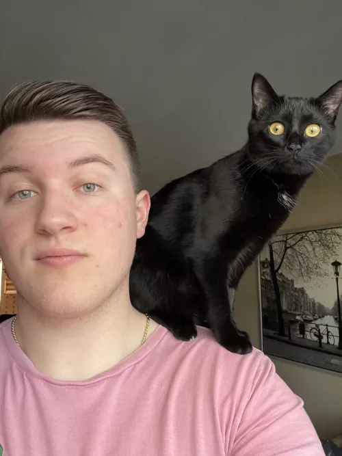 Had to give the kitten a good perch to watch the birds by bstans1