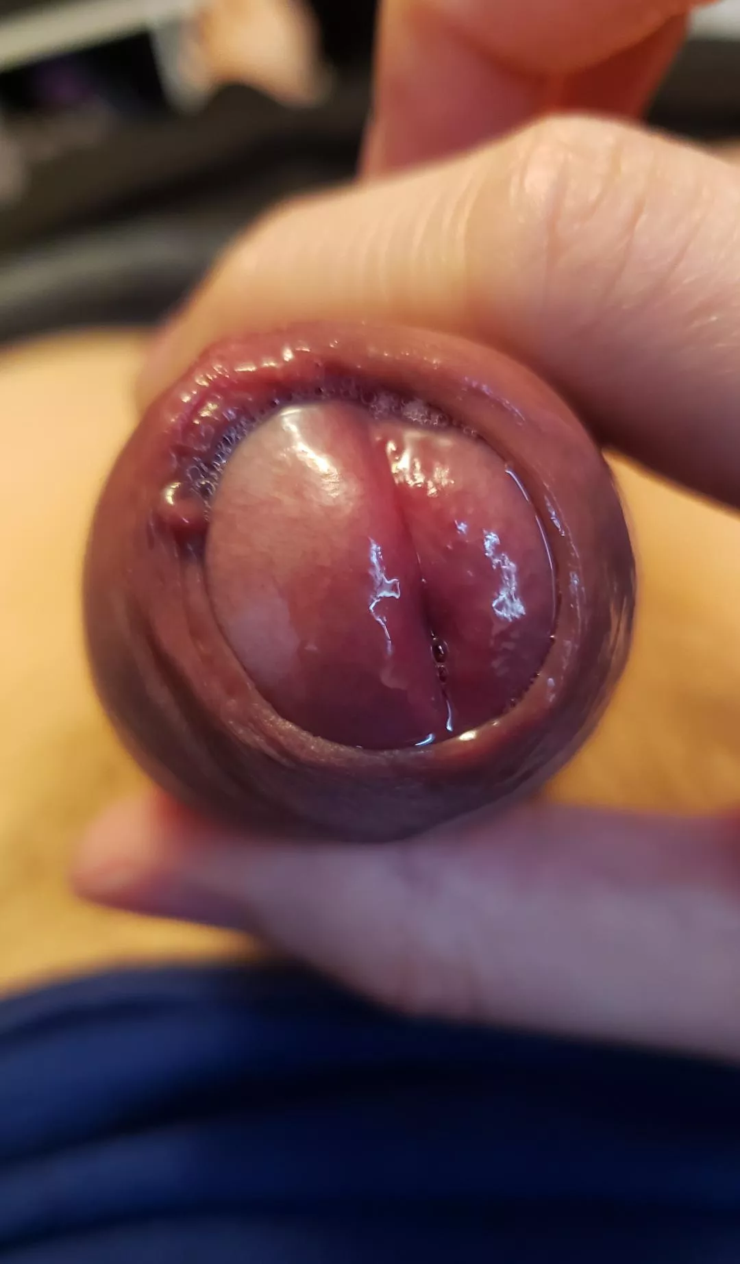 Had to grab it out posted by kamiue