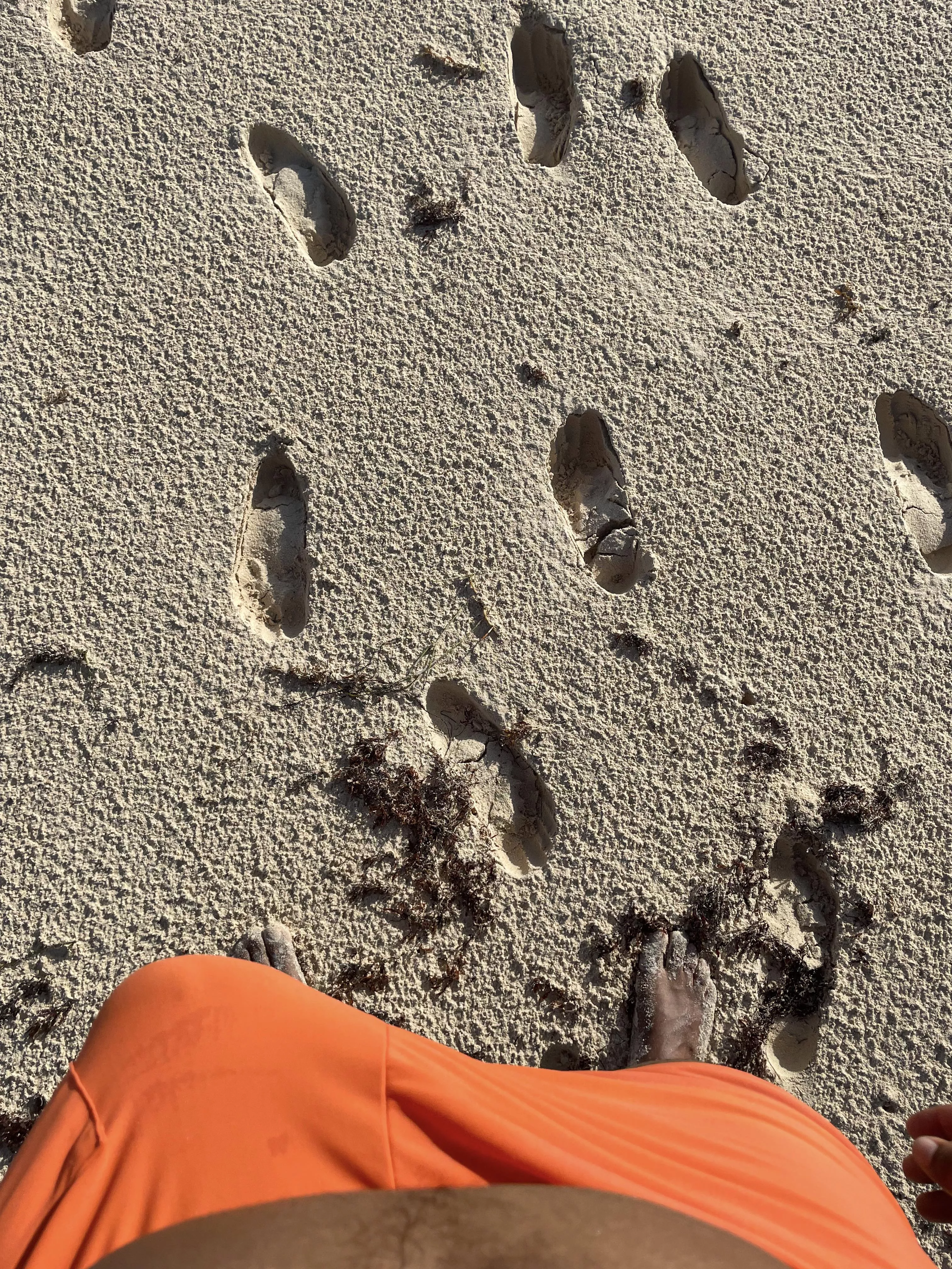 Had to walk like a mile like this. Do you think anyone noticed? posted by GCI19