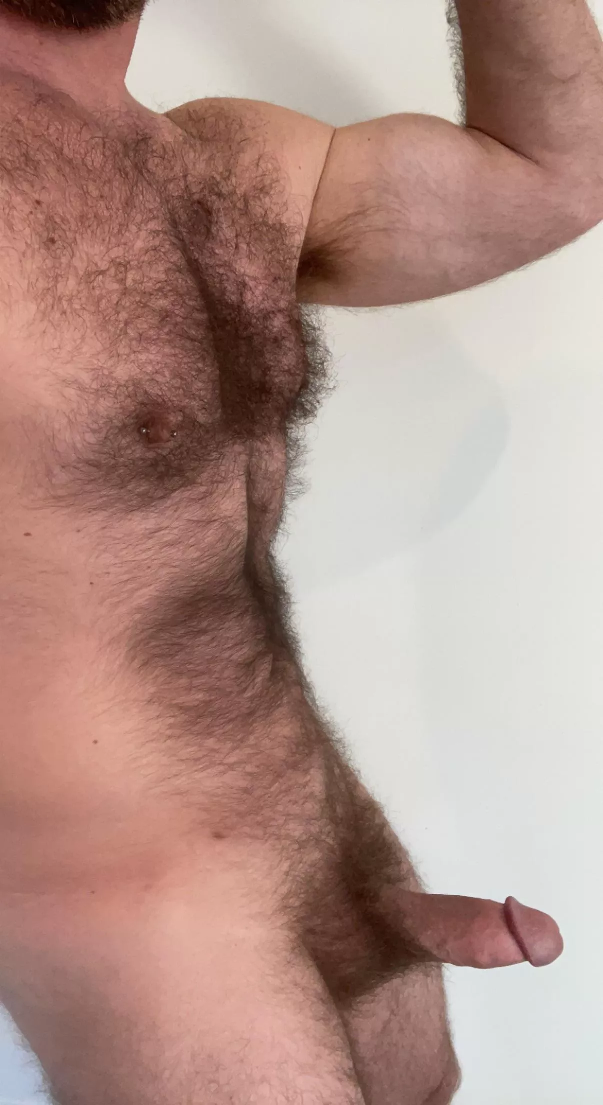 Hair and thick cock (42) posted by bigdversguy