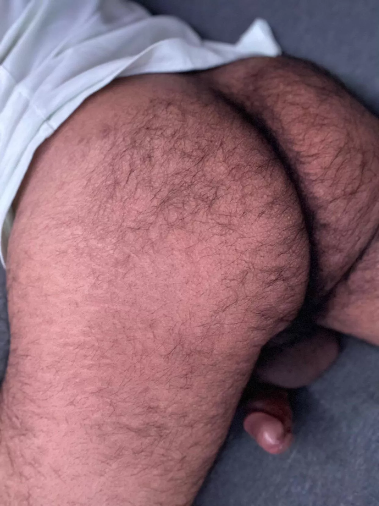 Hairy 😌 posted by Zealousideal_Spare60