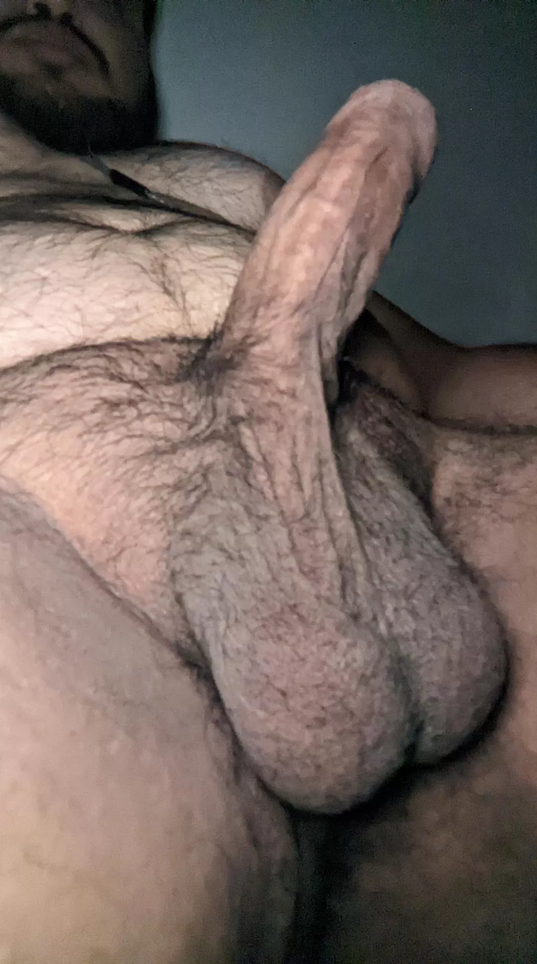 hairy and exotic. posted by ultraconfusedbeing