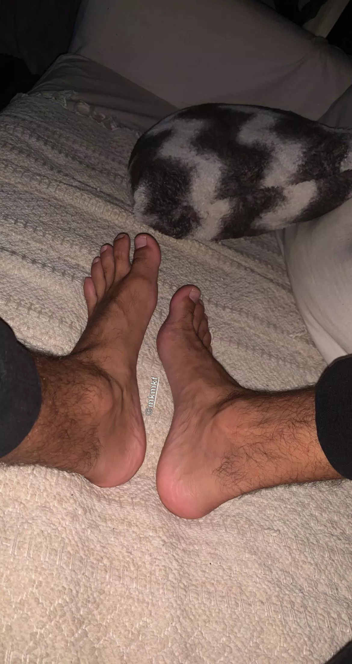 Hairy and perfect posted by External-Sugar8578