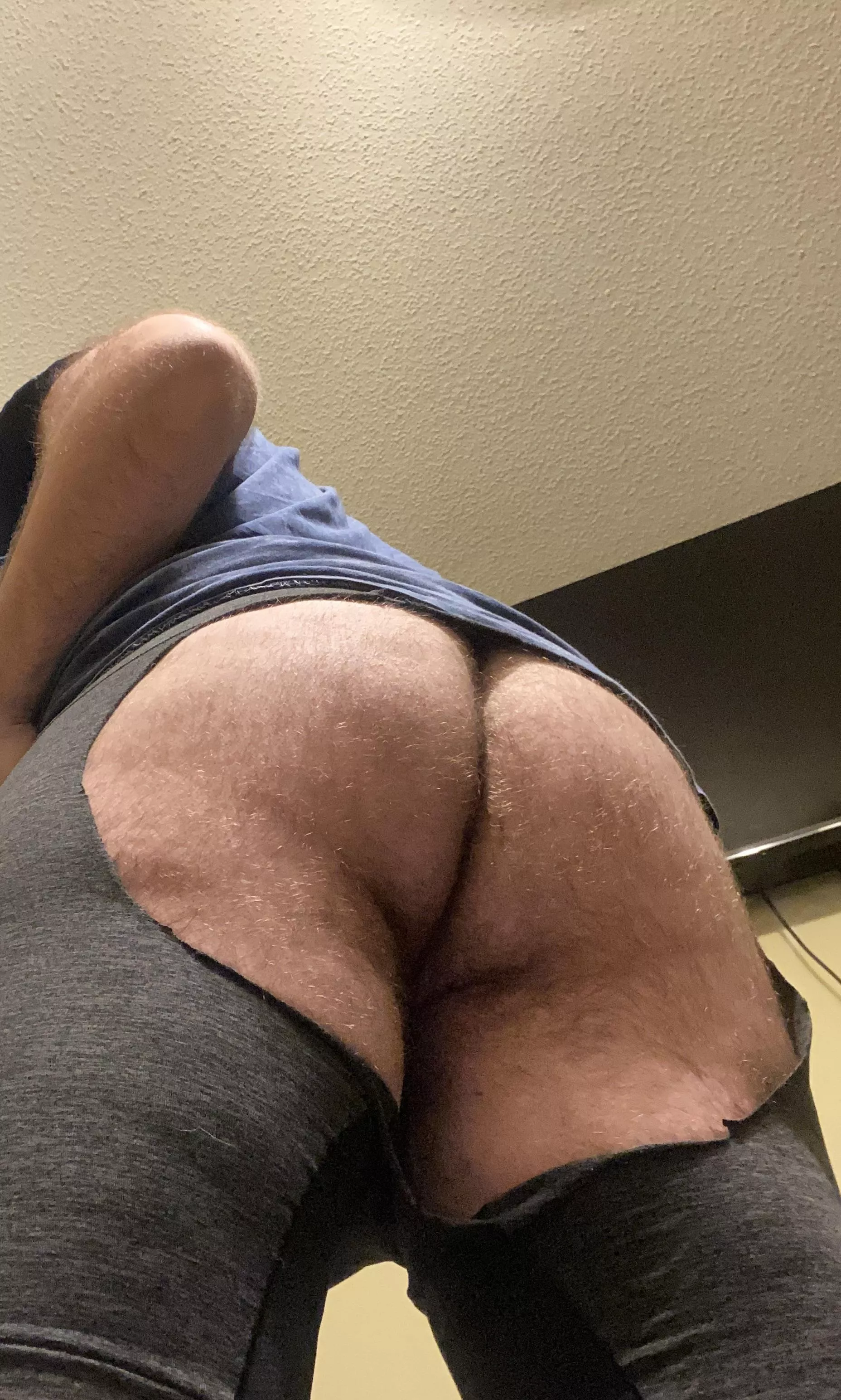Hairy and plump posted by hairybottomboy