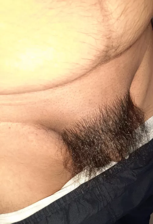 hairy asian penis [24] by Alex_Chua_95