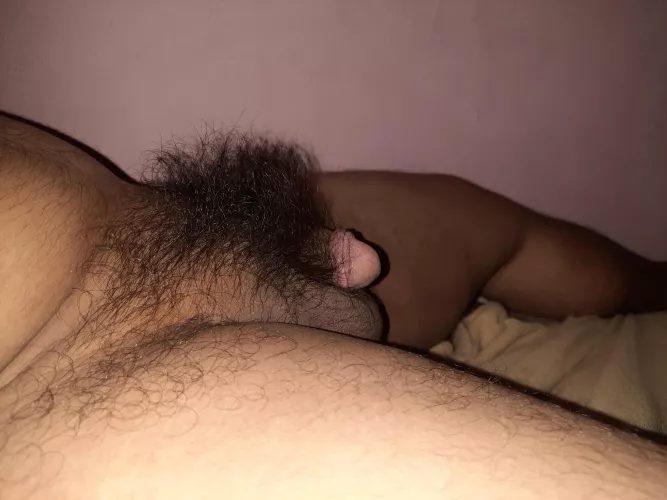 hairy asian penis by Alex_Chua_95