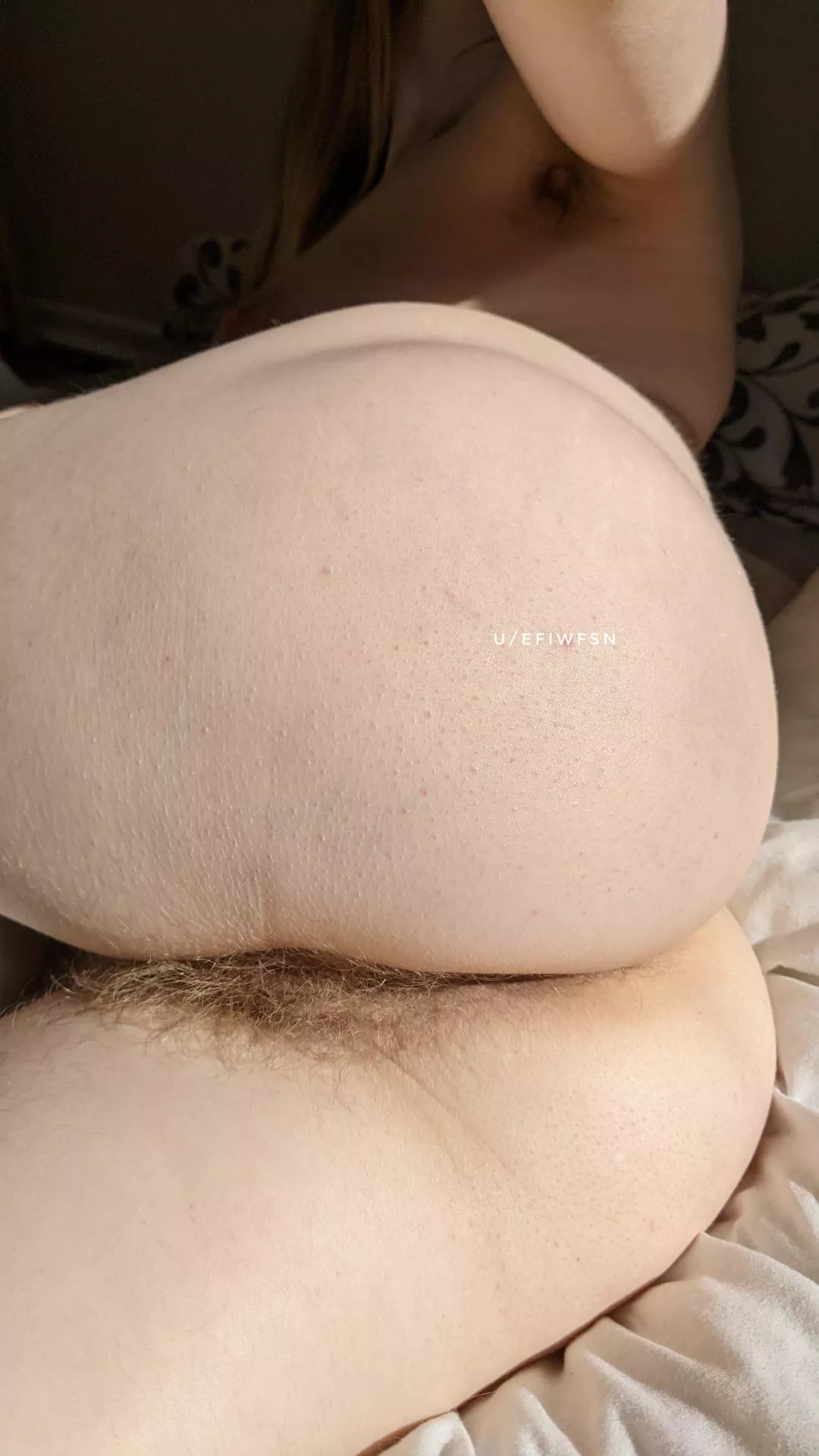 Hairy ass is the breakfast of champions posted by efiwfsn