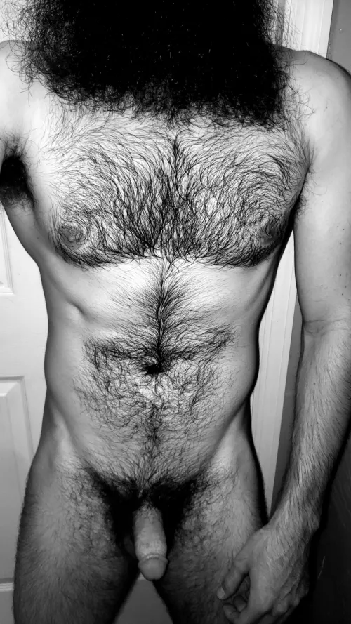 hairy bear was a fuzzy by TheJizzprophet