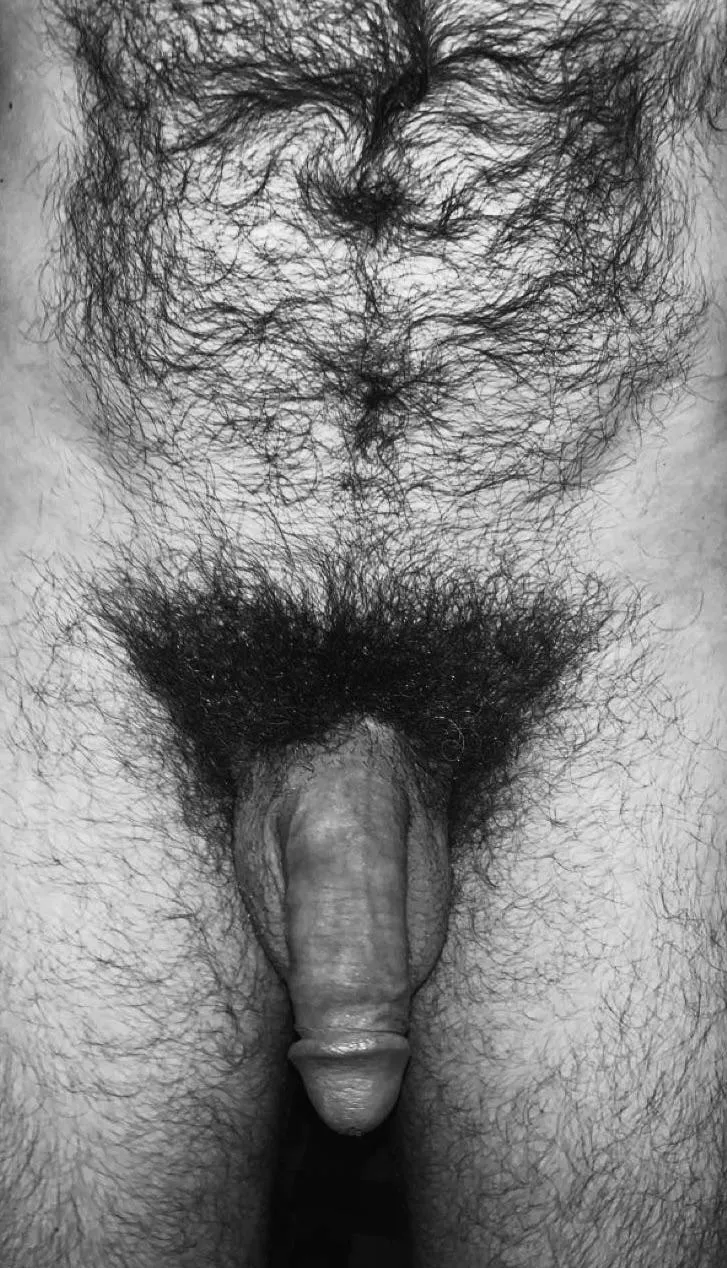 hairy belly, full bush + softie posted by jerseyjaxoff