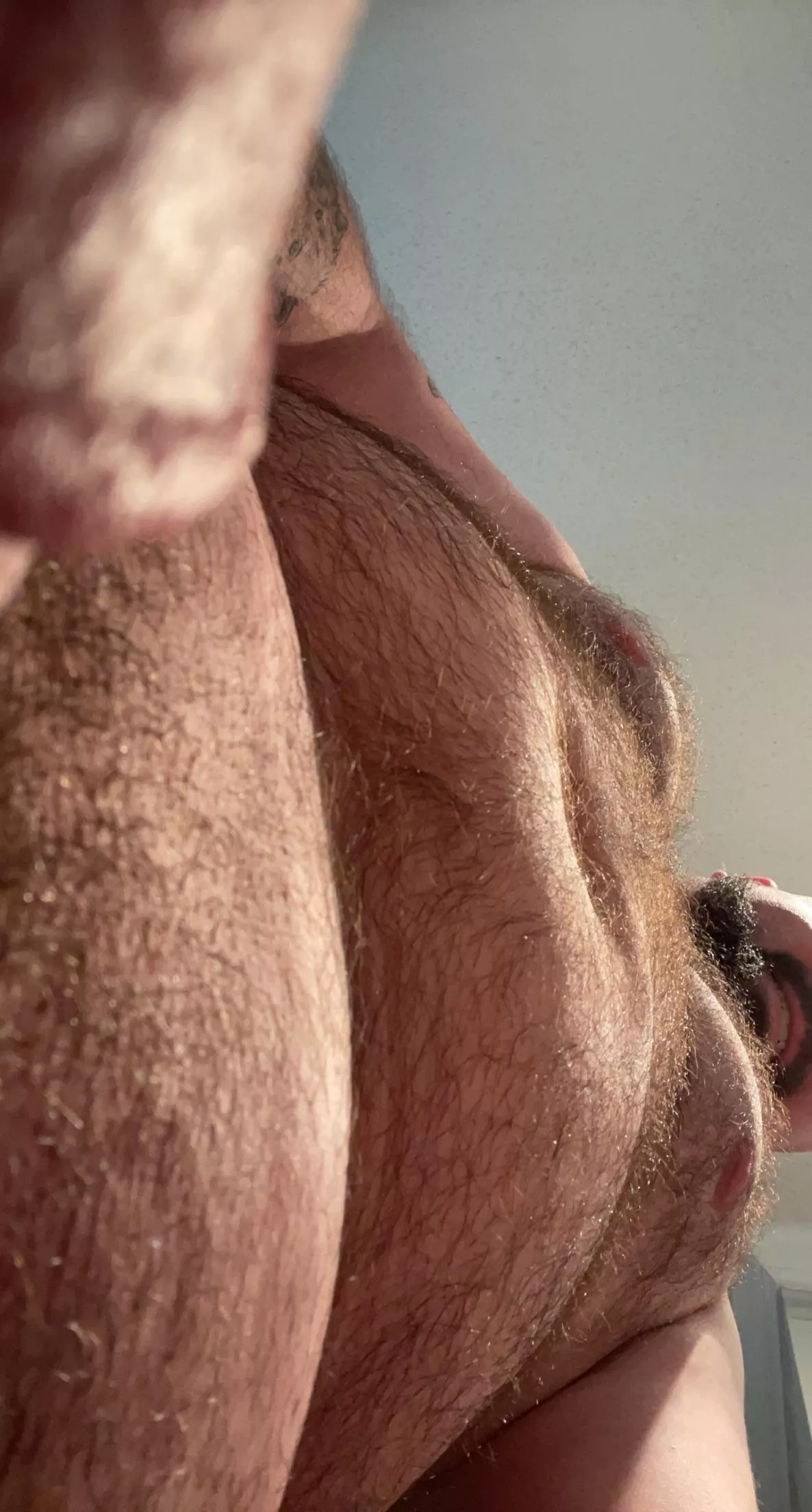 Hairy bits… posted by gaboy0116