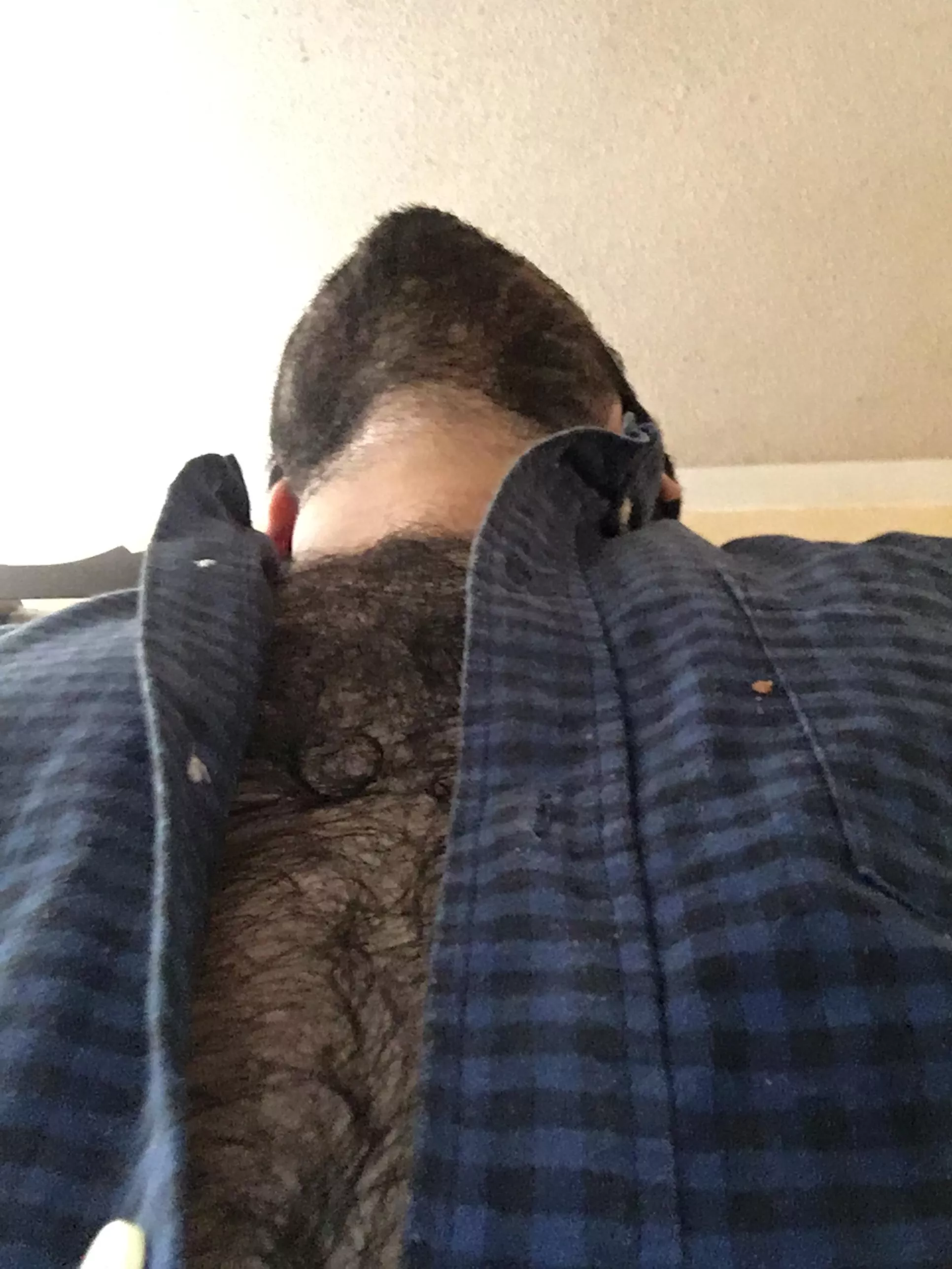 Hairy chest✨? posted by composterchipped