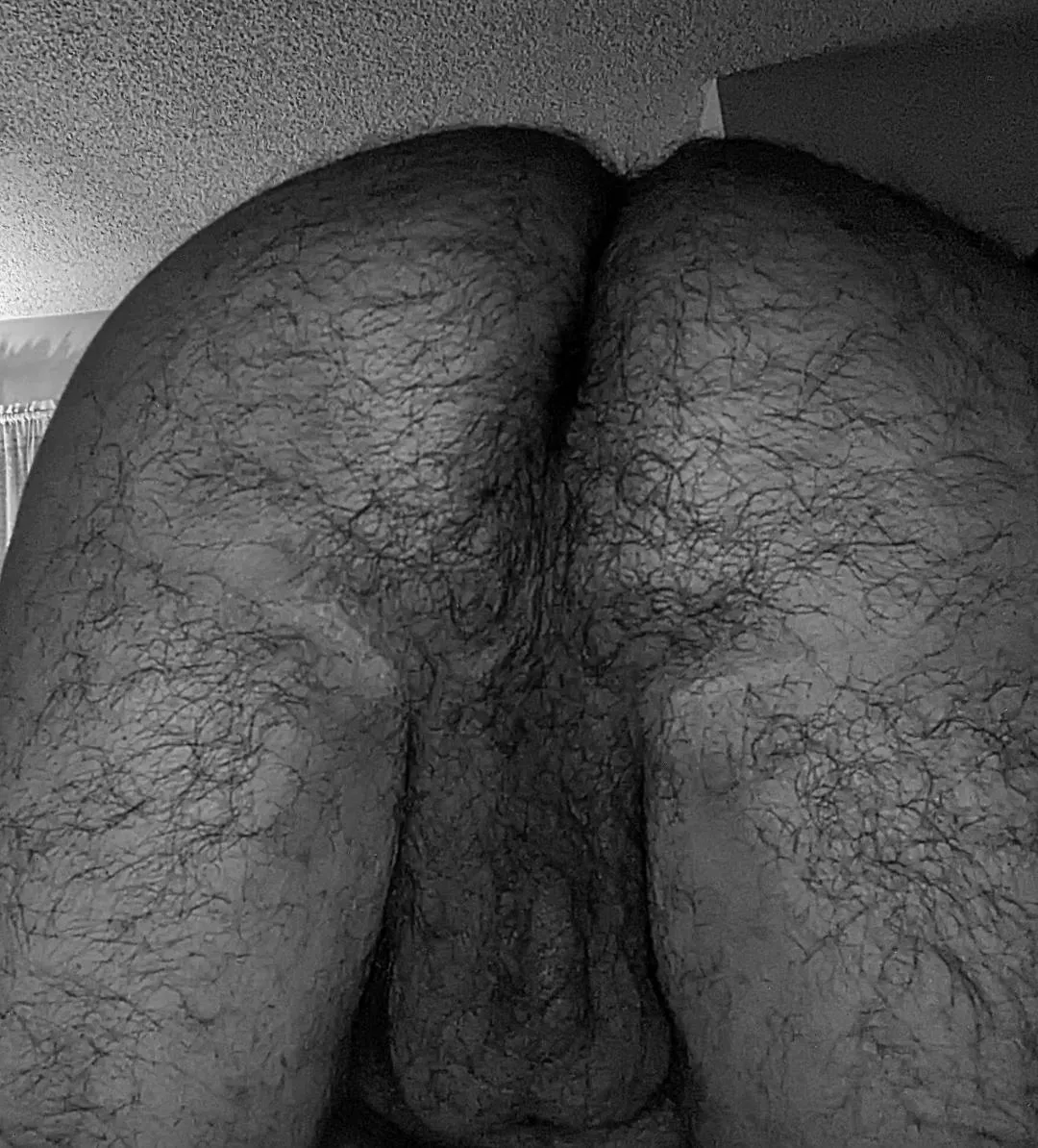 Hairy dad hole posted by alohajerky