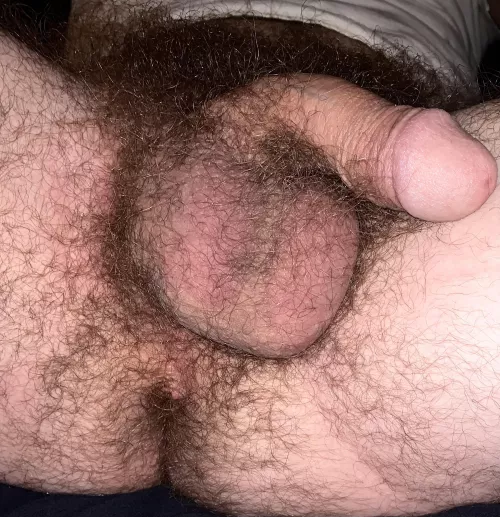 Hairy enough? by ahhsf8