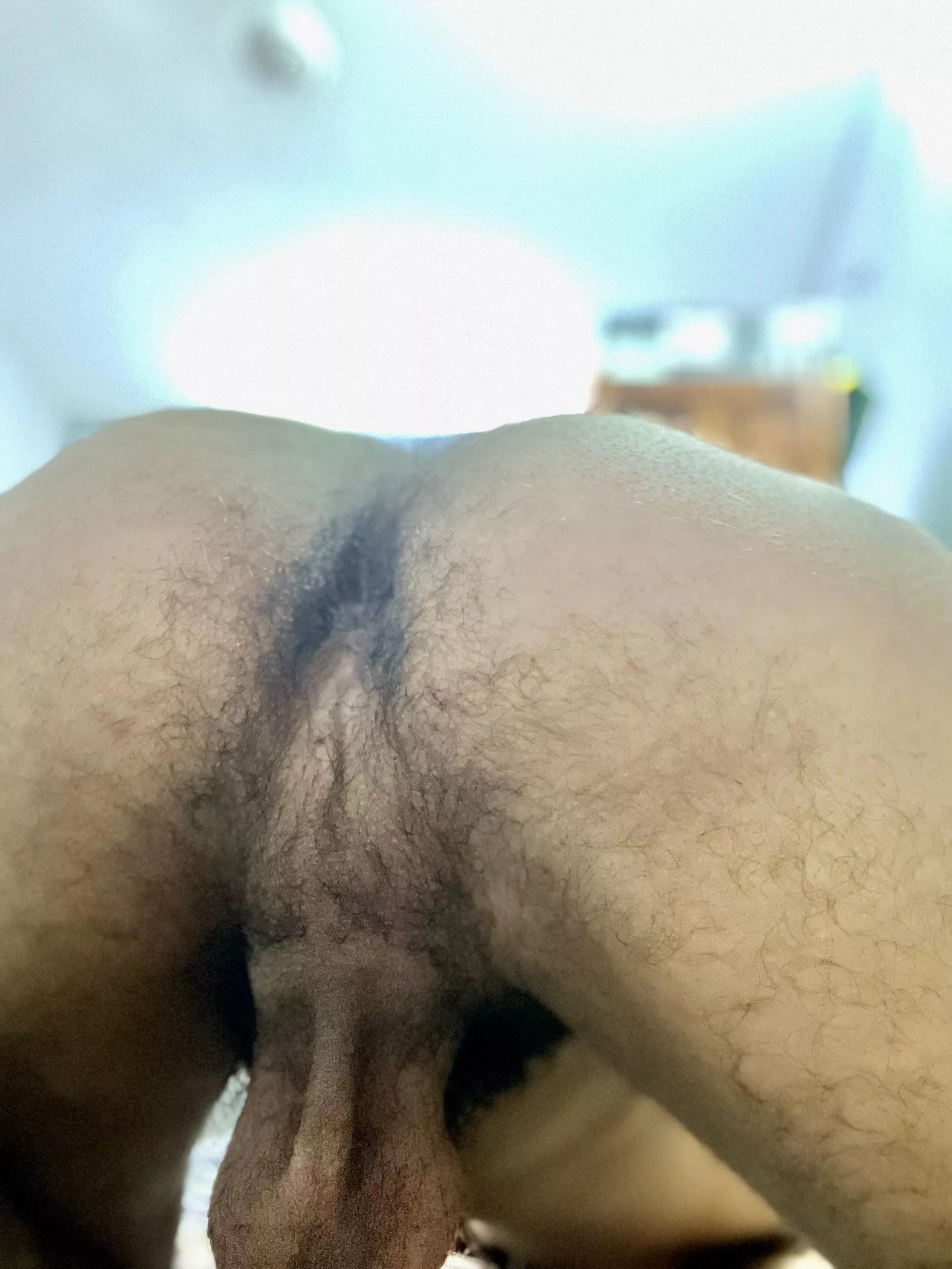 Hairy enough? Cream all over please posted by Logical_Hall_6256