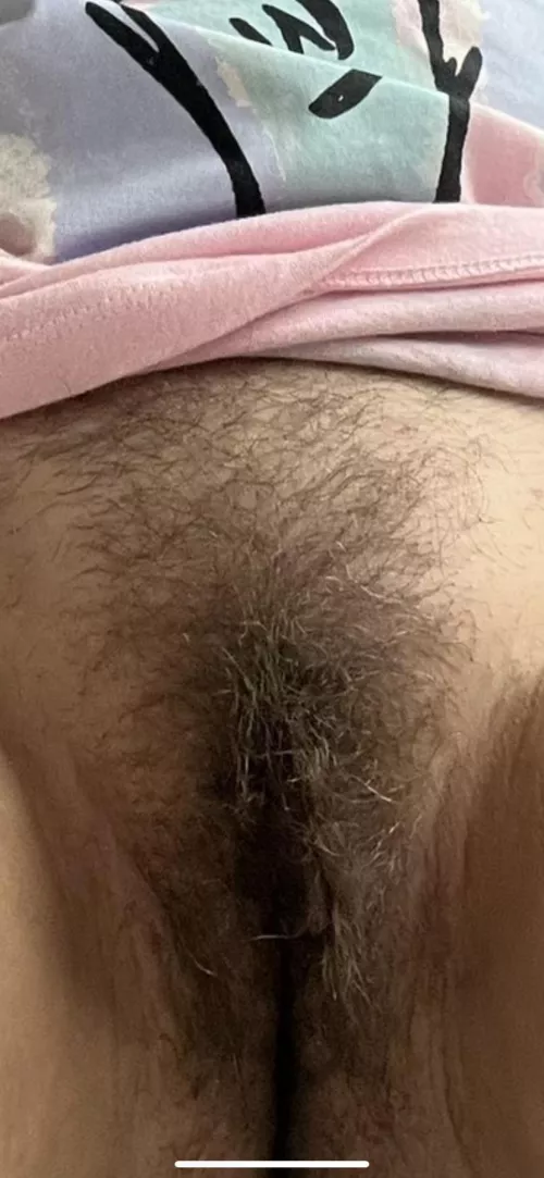 Hairy Fanny by dicky1963