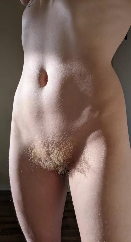 Hairy girl, hairy shadows by efiwfsn