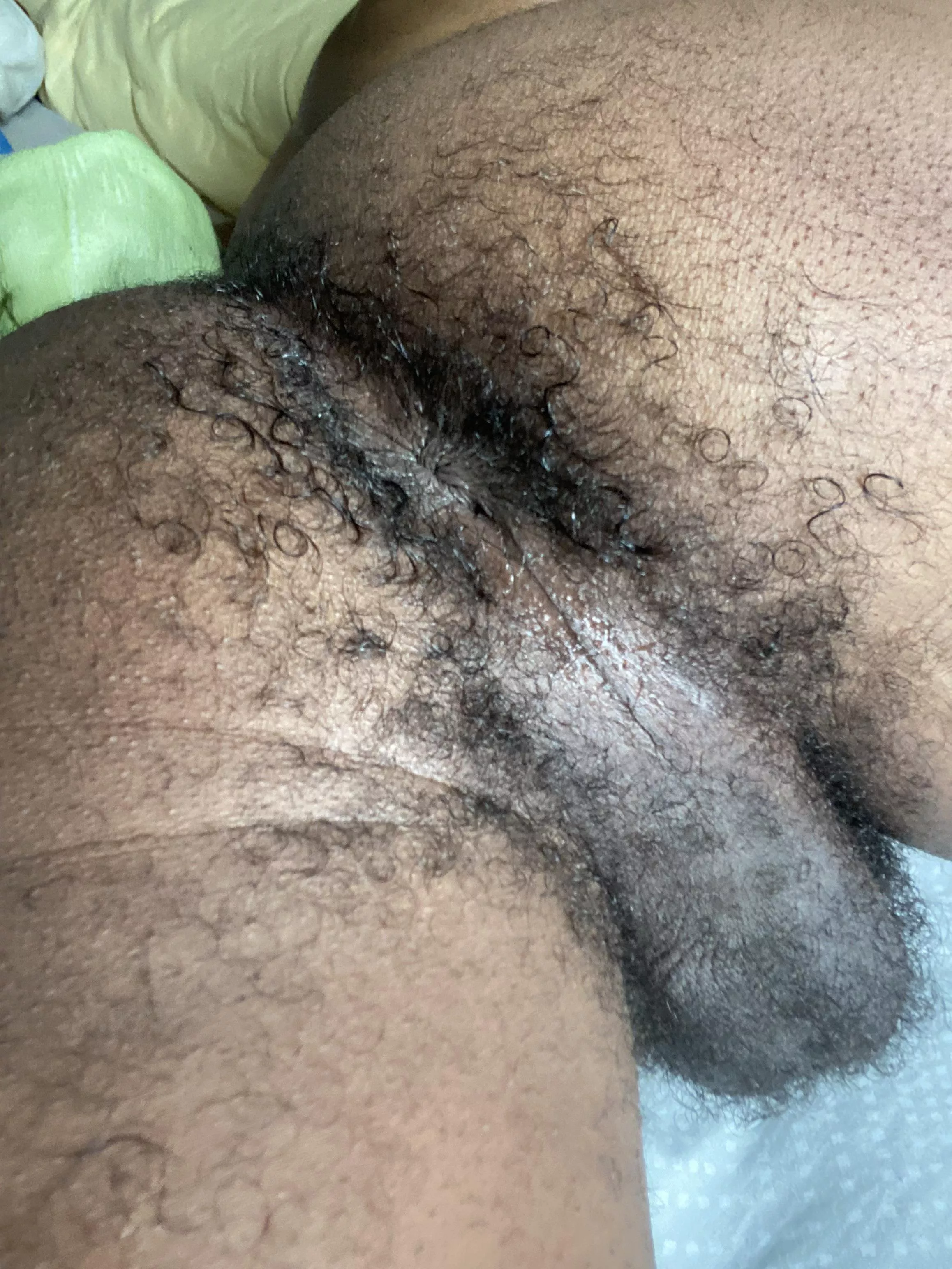 hairy hole for you ;) posted by ricojon