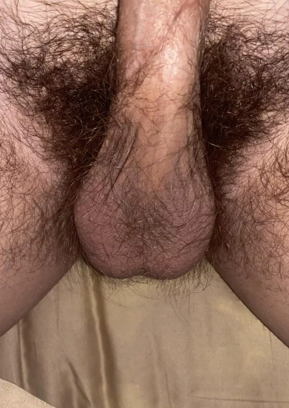 Hairy middle eastern balls posted by Last-Assistant4363