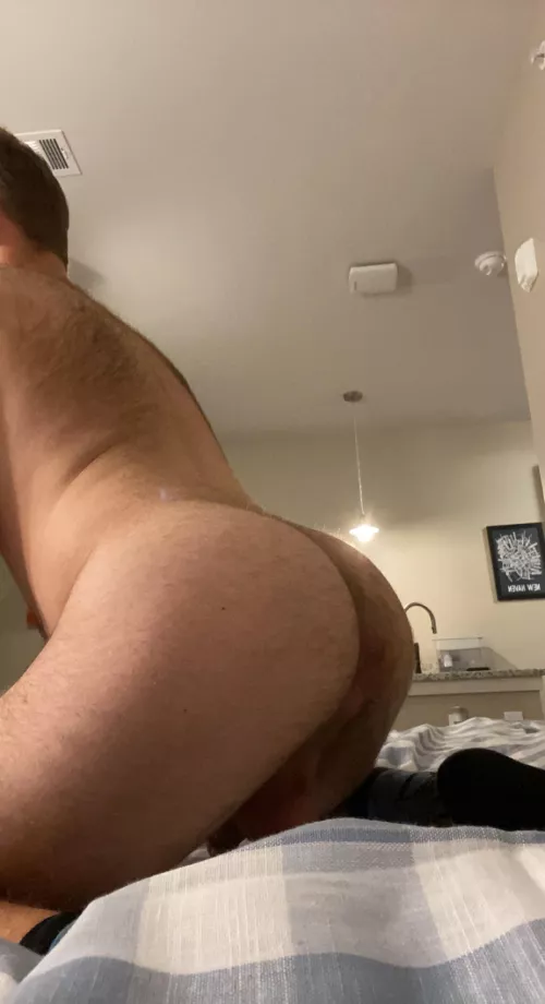 Hairy ok? by thatquietkid27