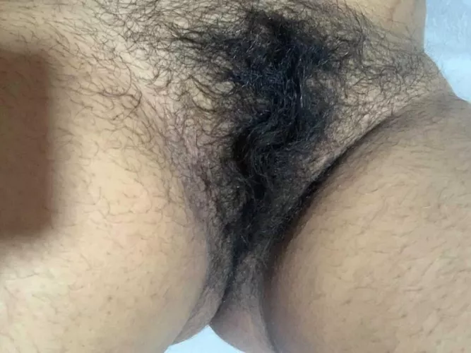 Hairy pussy by Mysterious_Ad_8332